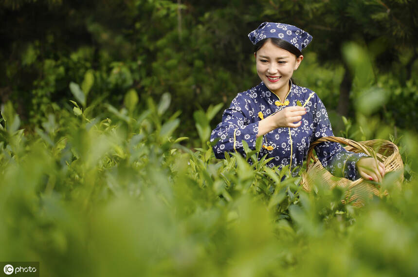 直男必看！深度剖析朋友圈白富美“卖茶女”的感情骗局