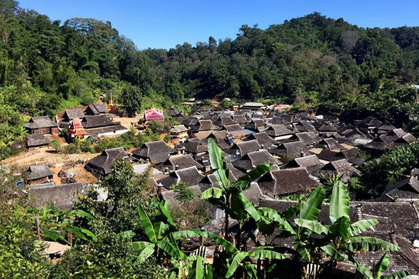 古茶园保留最多的布朗山，其普洱茶味道如何？