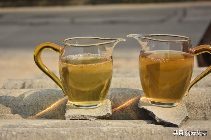 想学点真功夫的进，古树茶和台地茶最干货的鉴别方法