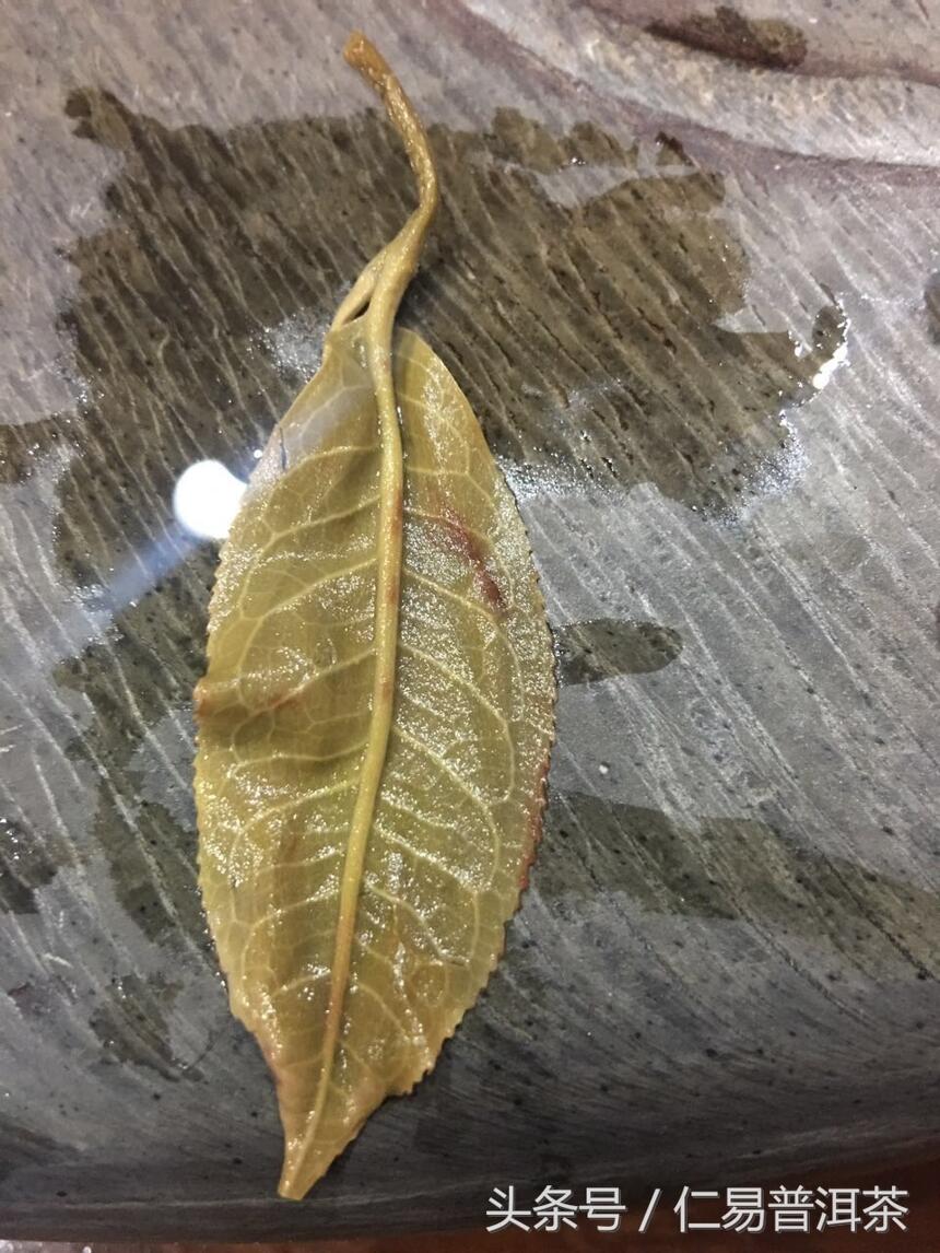 仁易说茶：普洱茶一年新三年茶五年陈七年药十年老出陈香后无价