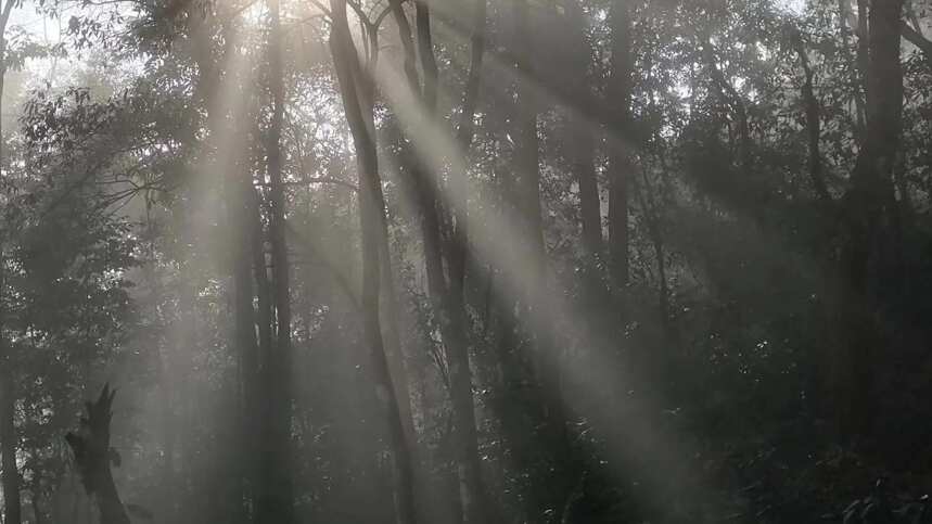 光影荏苒入茶山