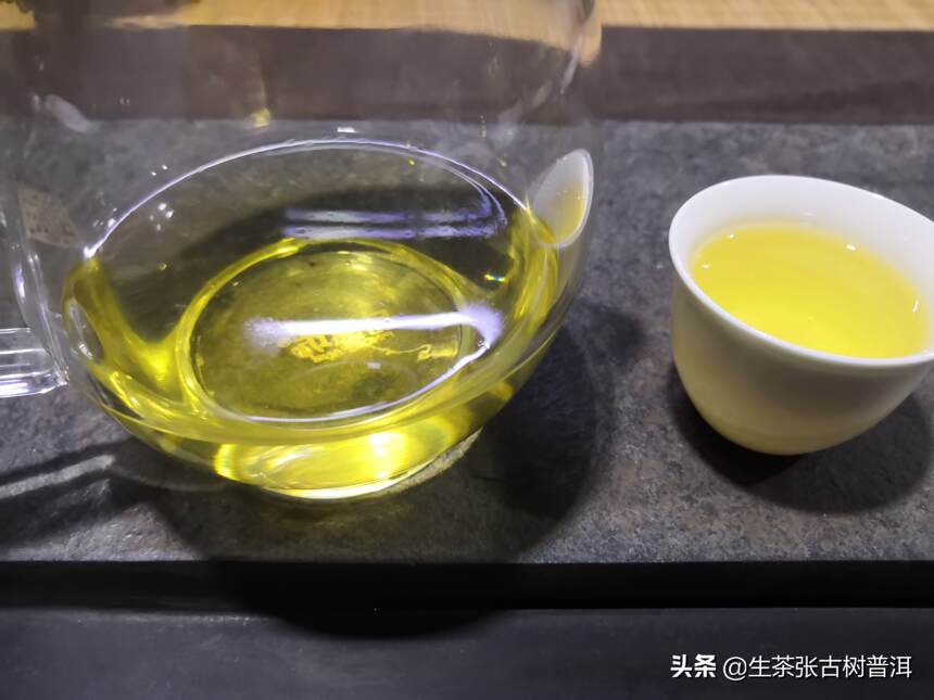 初识普洱茶的茶友，需要知道的知识点（很重要），你知道多少？