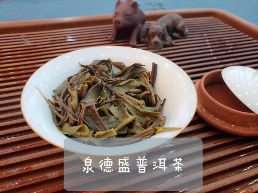 普洱生茶如何挑选？我用15年炒茶经验告诉你，牢记四大要点！