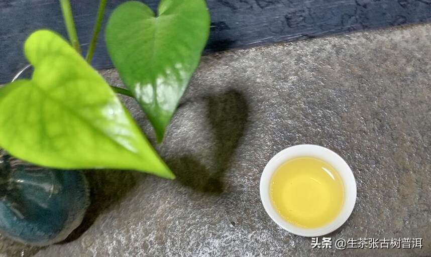 「喝茶知识」喝普洱茶为何拒绝劣质茶？这几大理由足以说明问题