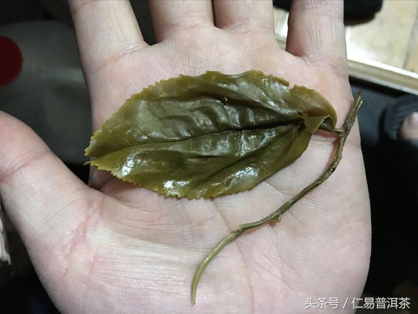 仁易说茶：保证班章冰岛易武的品质下说价格