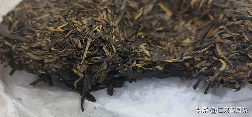 怎样从事普洱茶行业算是专业人才？只喝老茶的茶人是完整的么？