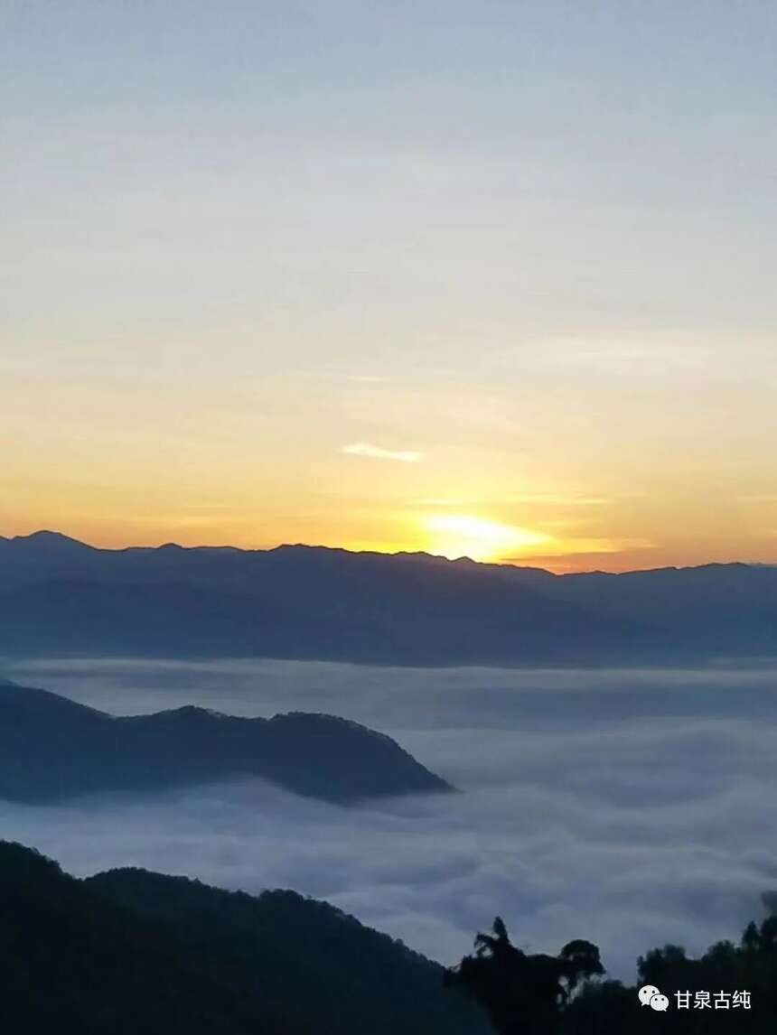 山高水远路漫漫 高山云雾出好茶