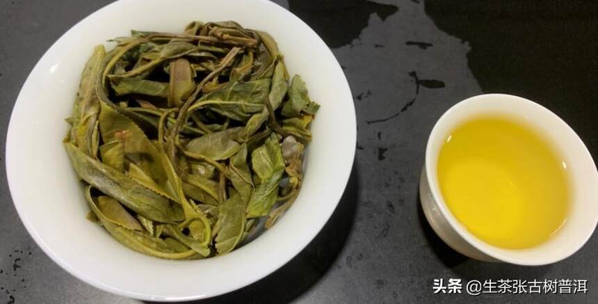 浅谈普洱茶产地｜了解各个产地的普洱茶特点，步入高手的行列