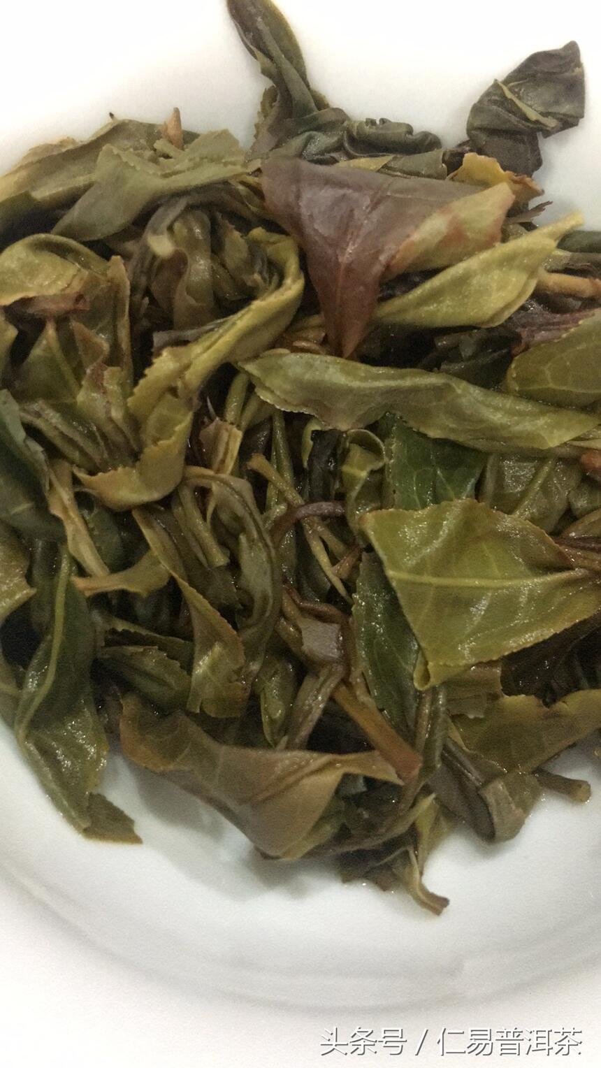 仁易说茶：普洱茶过时？白茶会取代？该醒醒了，让更多人会喝茶