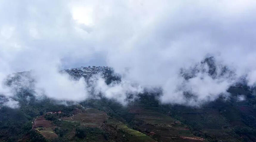 大雪山与冰岛！同为临沧名茶，大雪山离一线还有多远？