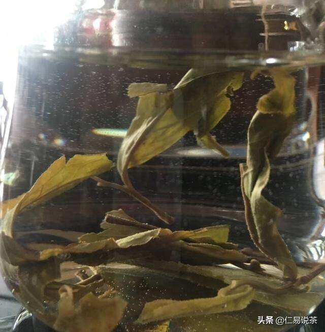 喝会普洱茶有不同的认知度，它所反应的茶性人性是什么？