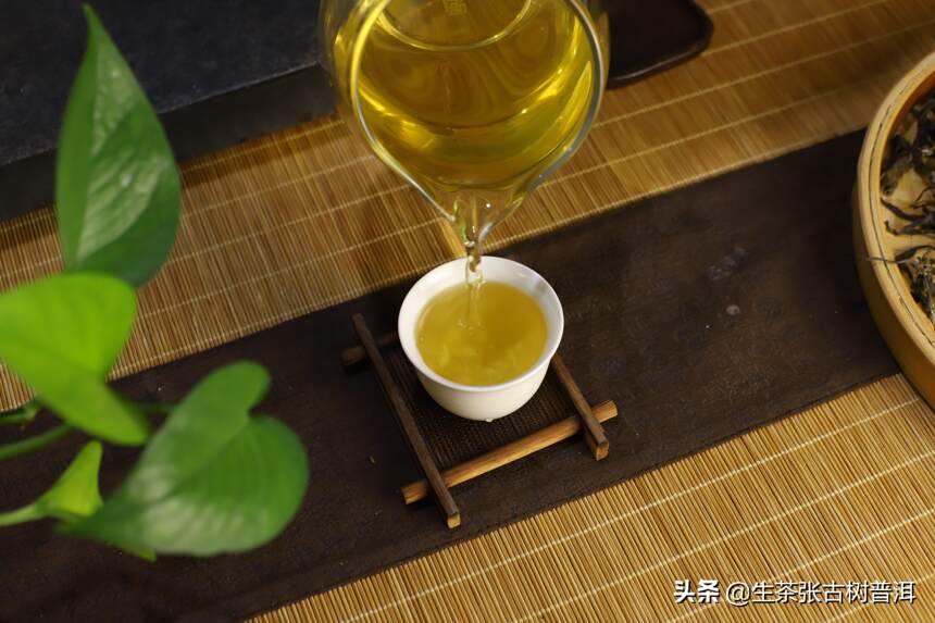 解析：布朗山8大村寨普洱茶特点，布朗山普洱茶知识大全