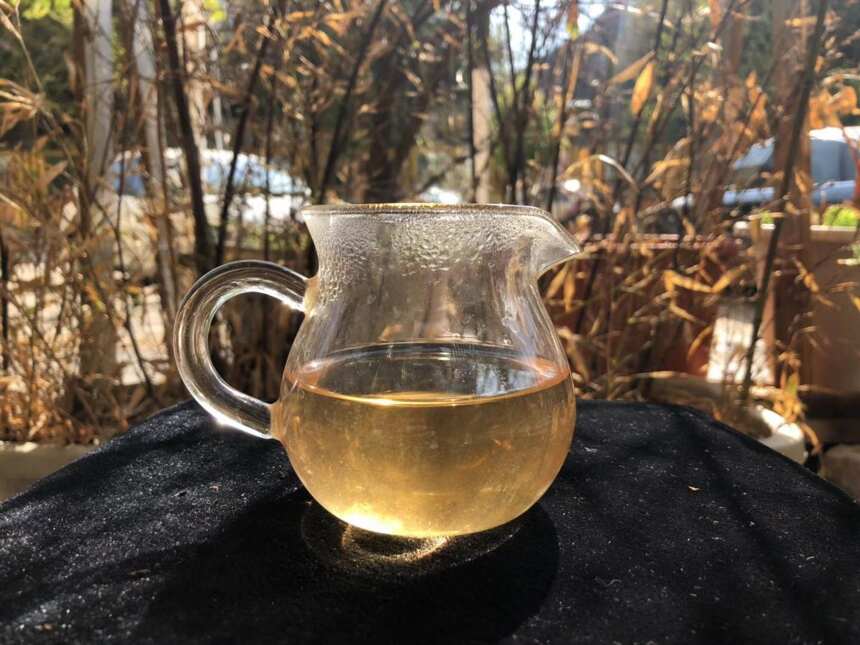 老徐鉴茶216：2009年南糯山半坡老寨500年古树茶品鉴报告（湖南）