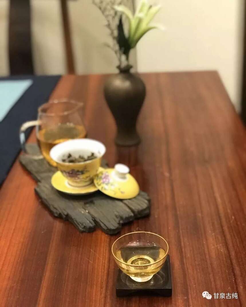 古树生普中的“皇后”——刮风寨茶王树