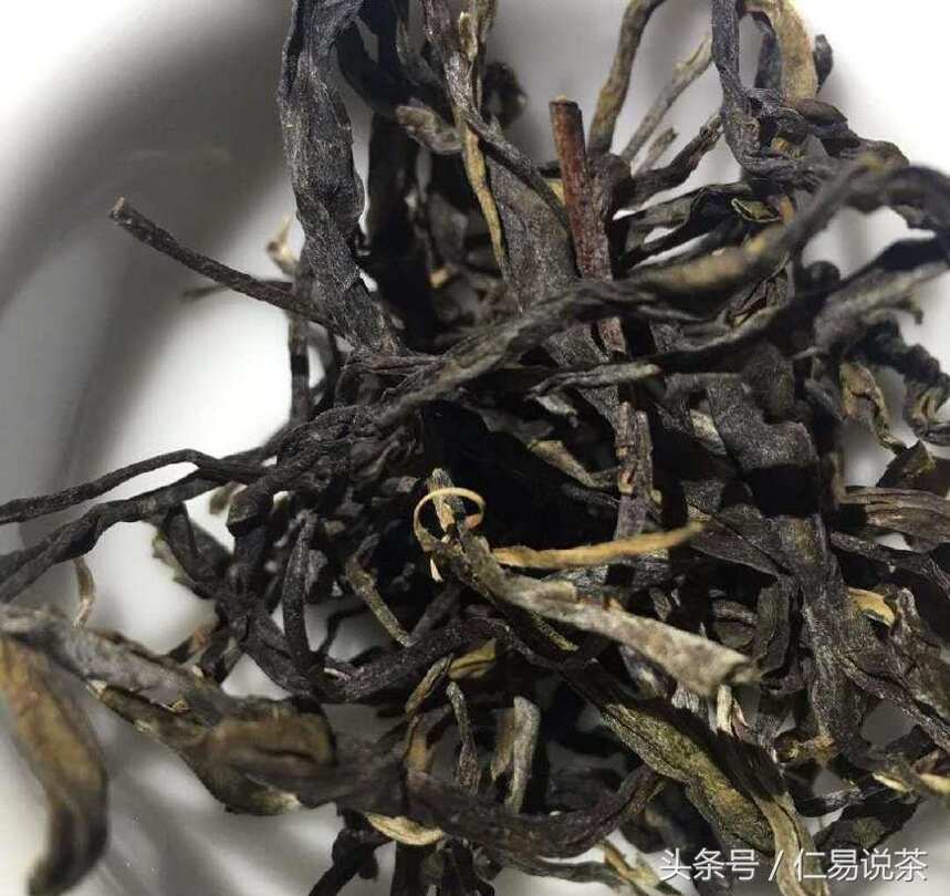 仁易说茶：了解云南茶山就可以掌握普洱茶口感的特点了么？