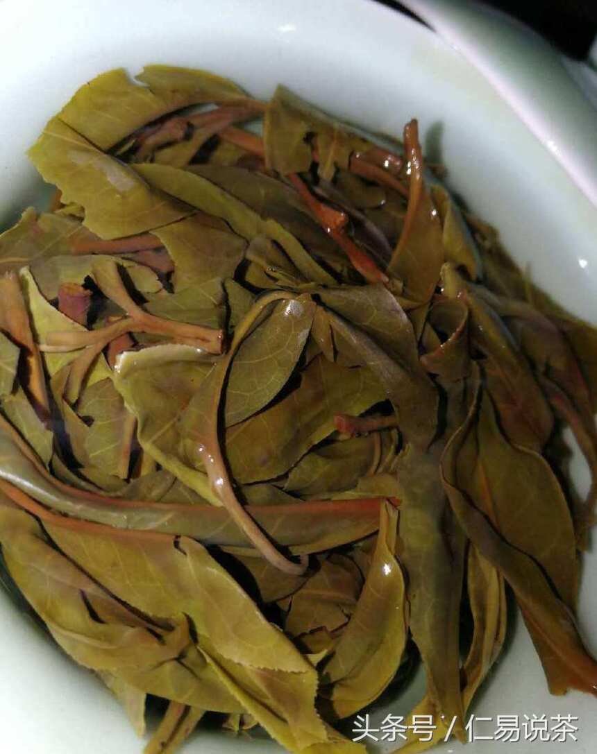 仁易说茶：用原生态普洱茶理论普及台地茶，茶会是个披着羊皮的狼