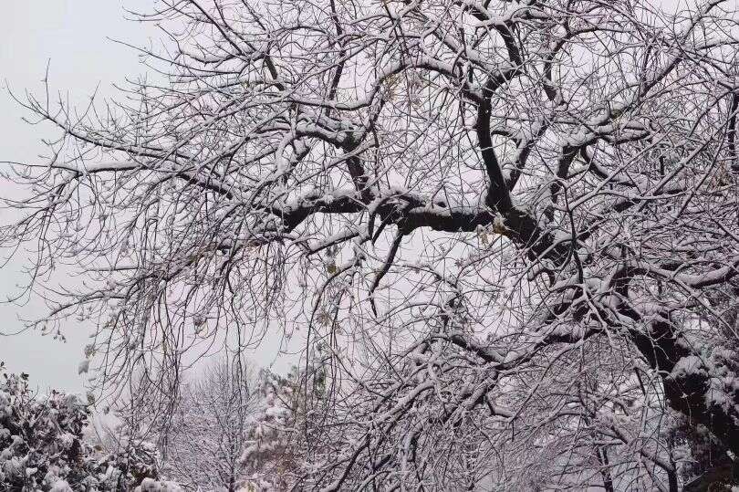 杭州那场雪