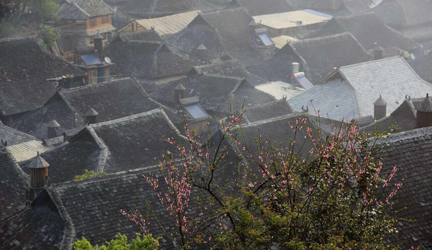 普洱景迈山，千年古茶林，糯干古寨有没有让你想起世外桃源？