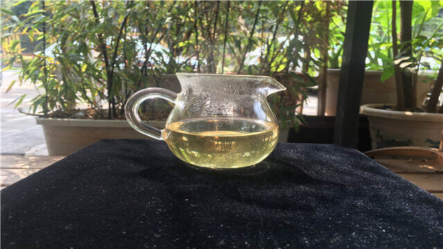 老徐鉴茶68期：200年树龄普洱古树秋茶品鉴报告（宁波茶友寄）