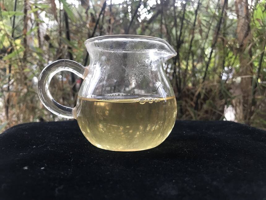 《老徐鉴茶》第172期：勐库邦马大雪山2018头春古树茶品鉴报告