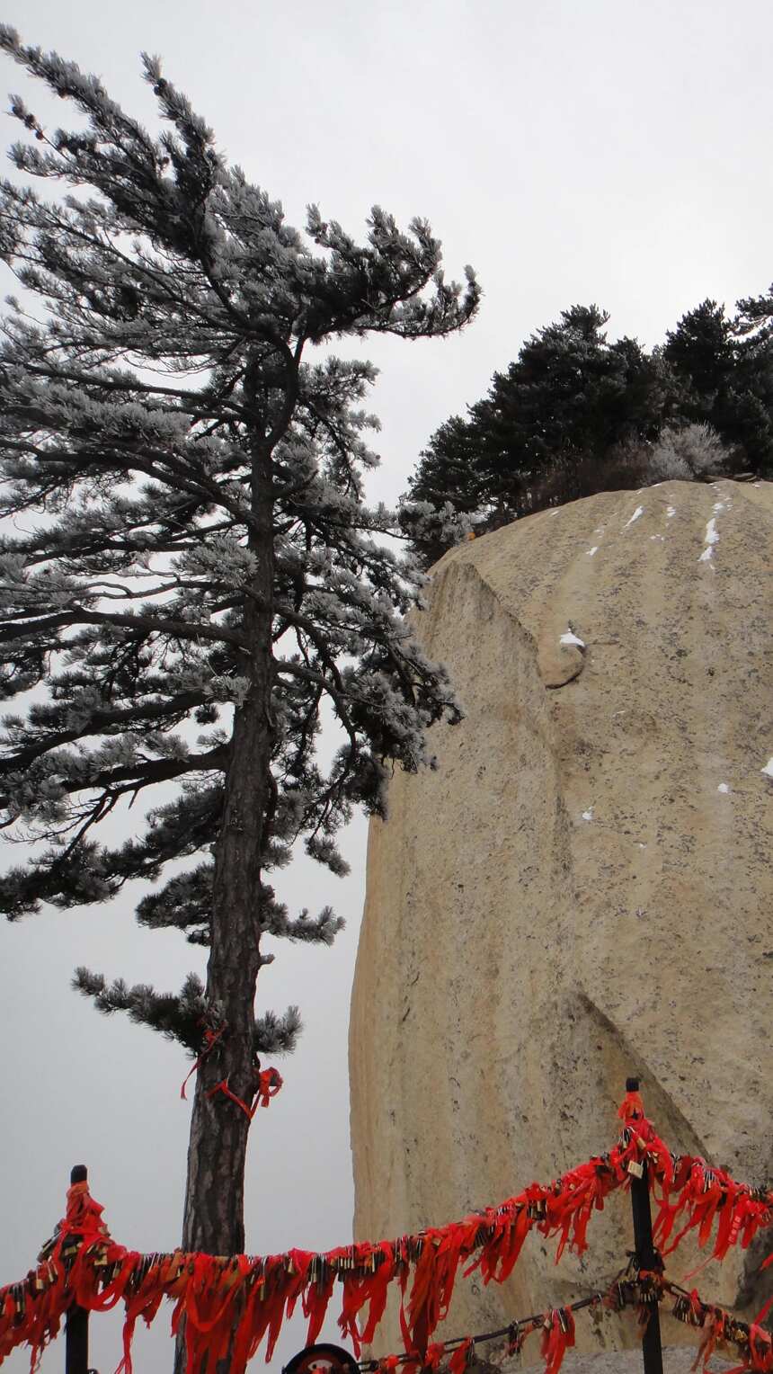 雪后华山气自华