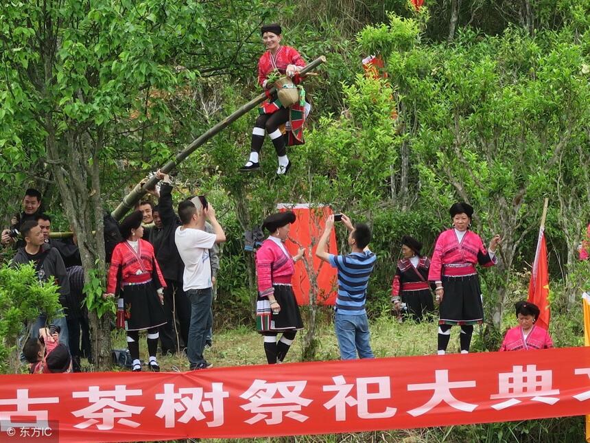 普洱茶，不懂别装懂！虚心学习长知识。