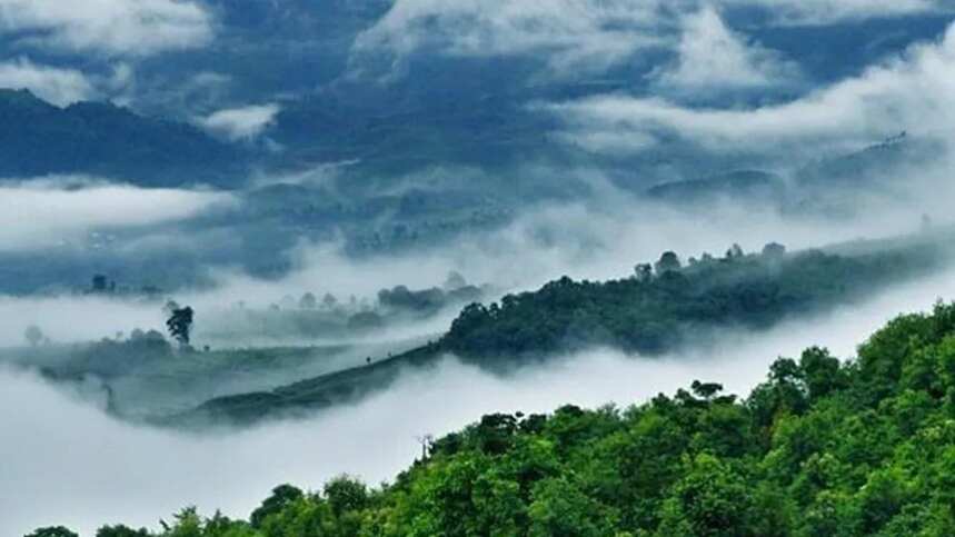 印象里的景迈山永远都是仙雾缭绕着的苍翠欲滴的山峦叠嶂,江山秀丽