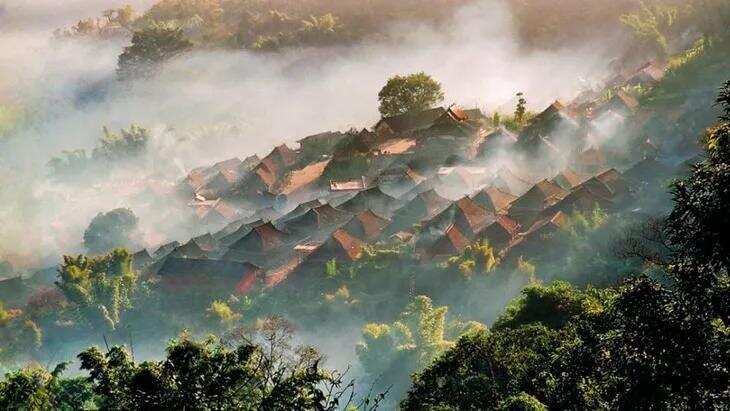 景色雅致山峦豪迈茶香逸远的景迈山