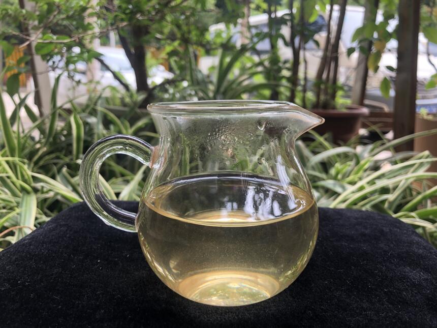 《老徐鉴茶》第442期：2021年班盆古树茶品鉴报告（衡阳茶友寄）