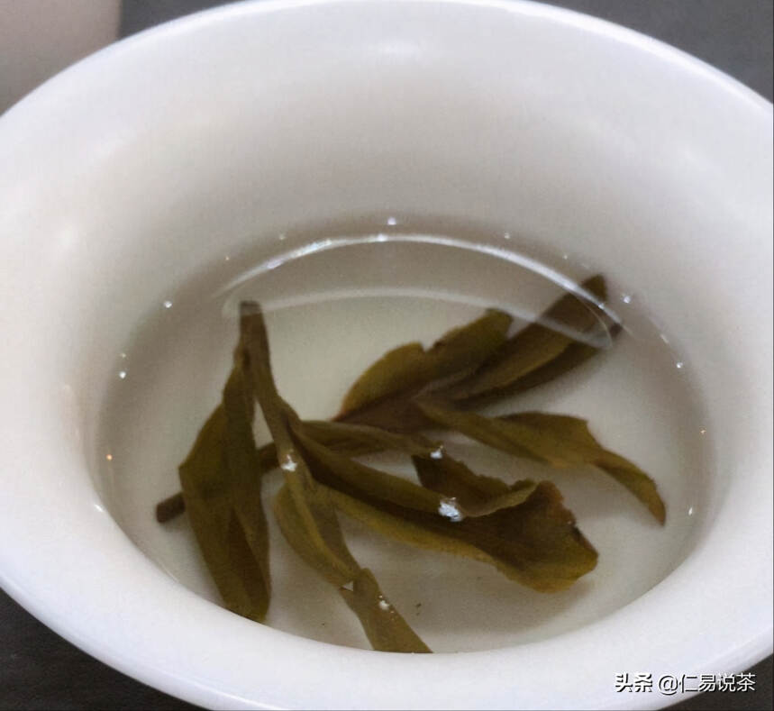 普洱茶实战干货分享，叶底是否能看出树龄与茶区的不同？