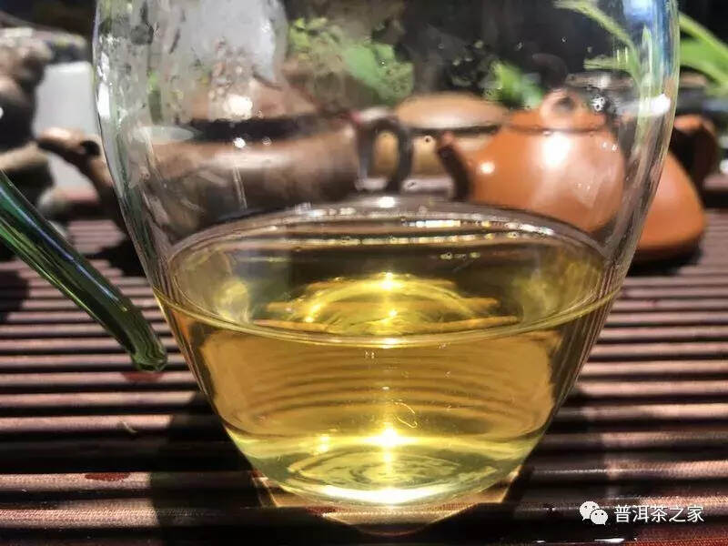 刮风寨茶王树，你是普洱茶界的一汪清泉