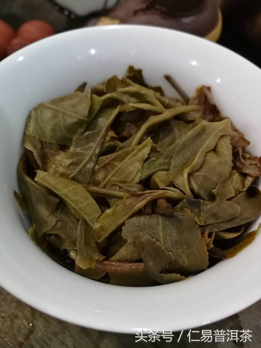 仁易说茶：不亚于老班章的600年树龄高杆古树单株赏析