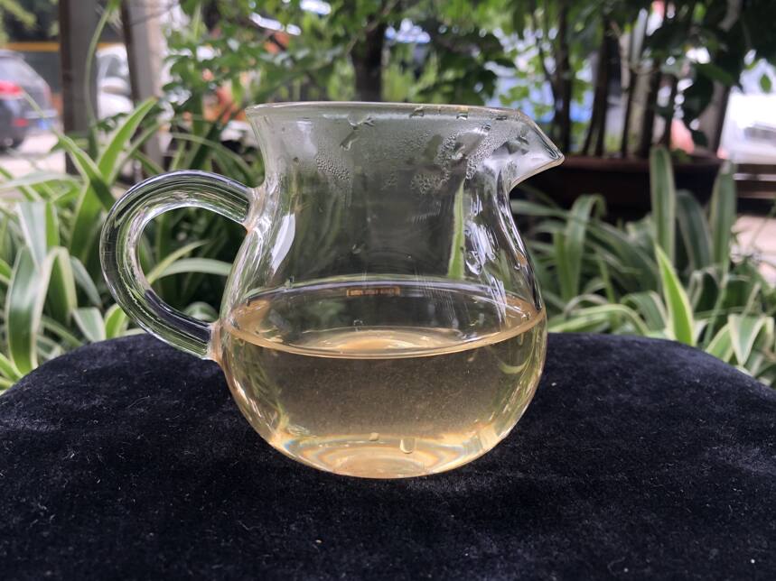 老徐鉴茶367期：2014易武大树春茶品鉴报告（广东茶友寄）