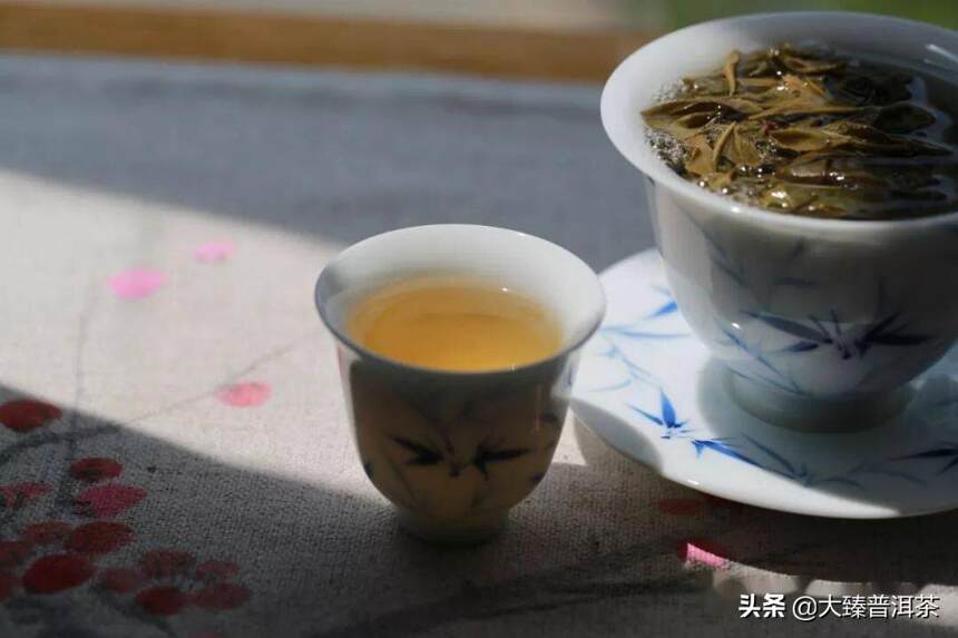 普洱茶让人着迷的原因是些什么？｜茶文化