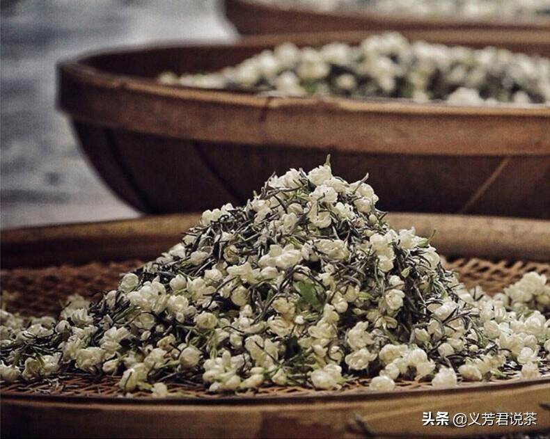 茶圈鄙视链之茉莉花茶真的是低端茶吗？这篇文章真该好好看看