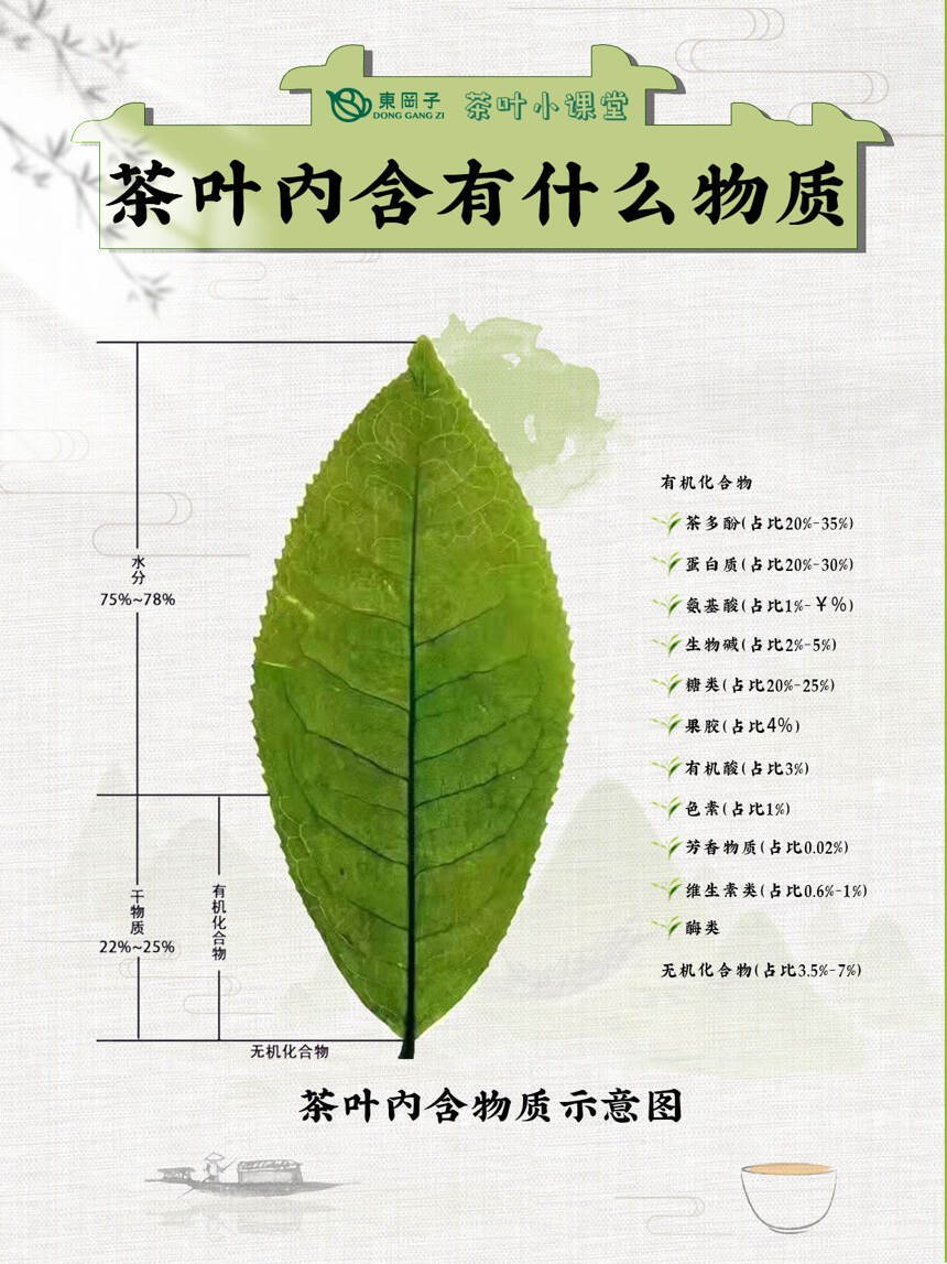 「小知识」茶叶中的物质成分，你了解多少？