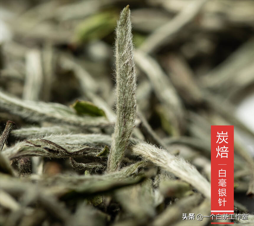 一年茶三年药七年宝的白毫银针多少钱一斤？都有哪些因素影响价格