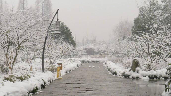 一下雪，你就换了一个更温暖的名字……