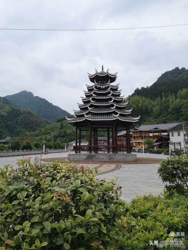 原创茶歌：熬茶醉