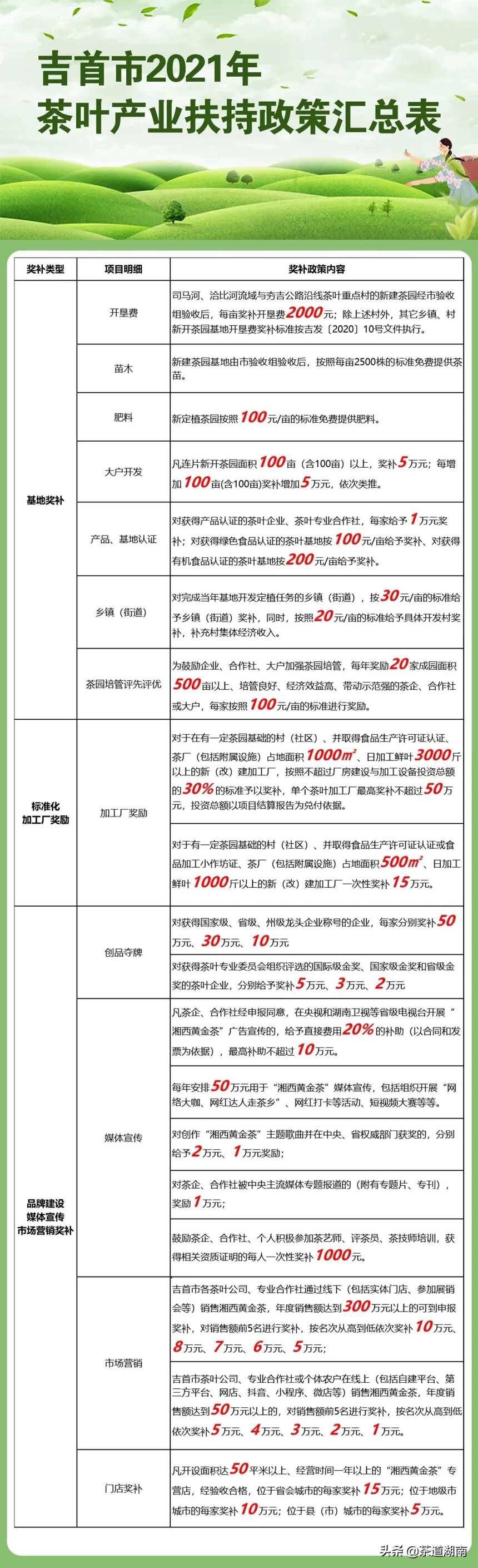 种茶有奖！一图看懂吉首茶产业扶持政策！