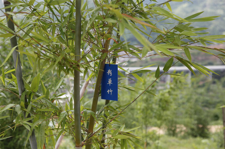 福建人有福了！据说明年夏季起又多一个高端生态的休闲度假好去处