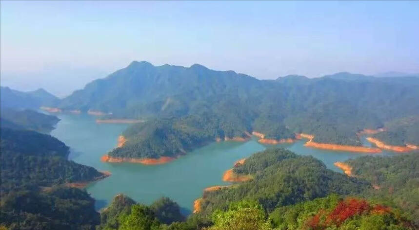 帝芙特茶说 | 世界水日：请珍惜每一滴水！请珍惜每一杯茶