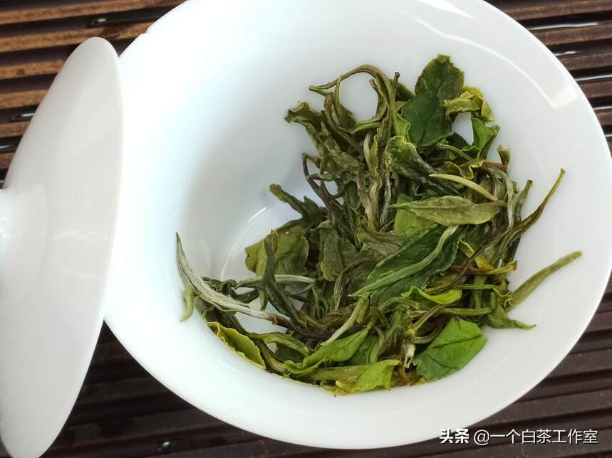 夏天饮茶，当饮福鼎白茶为佳