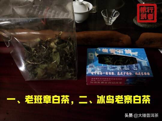 白茶相关的日子｜行者品茶(063)