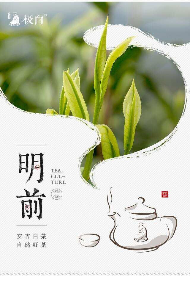 “茶痴”徐渭，他对茶的爱好超乎你的想象