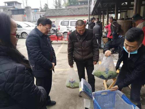 雅安市农业农村局党组书记倪林带队调研雨城区茶叶生产情况