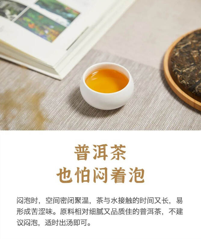 普洱茶，该不该闷着泡？