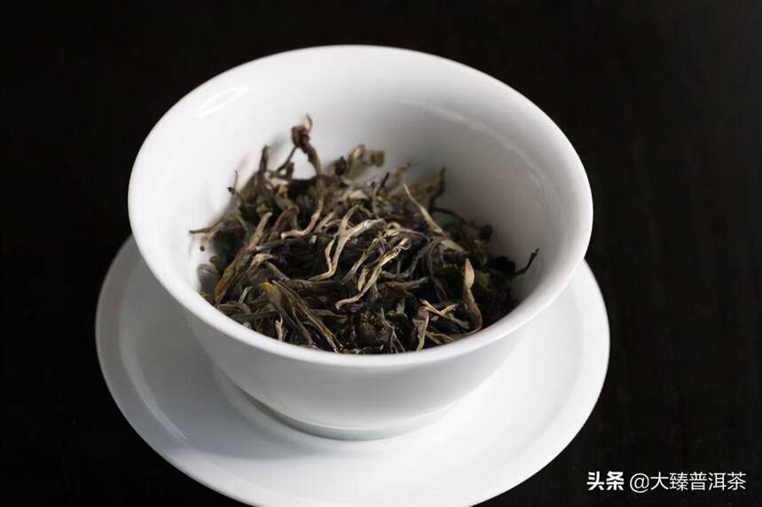 云南的贡茶好像大都是中小叶种 (大臻论茶320)