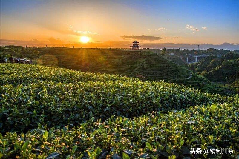 藏不住的美 | 四川生态宜居名村，红星镇骑龙村榜上有名