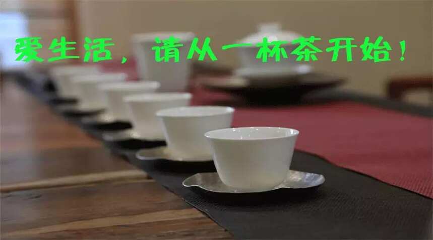 茶眼看世界|爱生活，请从一杯茶开始！